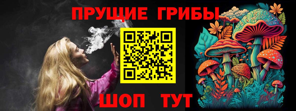 Псилоцибиновые грибы мицелий  Вход с VPN  Сальск 